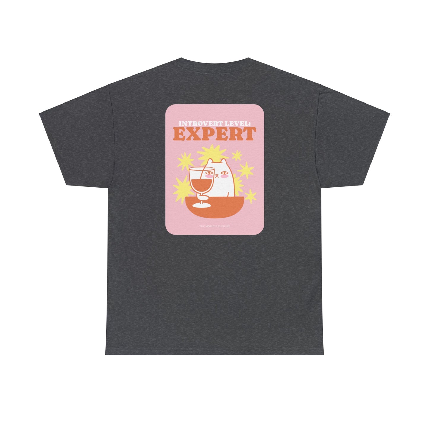 INTROVERT LEVEL EXPERT Unisex Printed Short-Sleeve T-Shirt for Adults