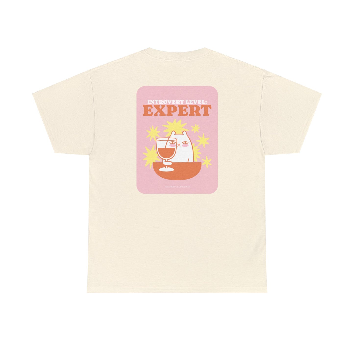 T-shirt à manches courtes à imprimé unisexe INTROVERT LEVEL EXPERT pour adulte