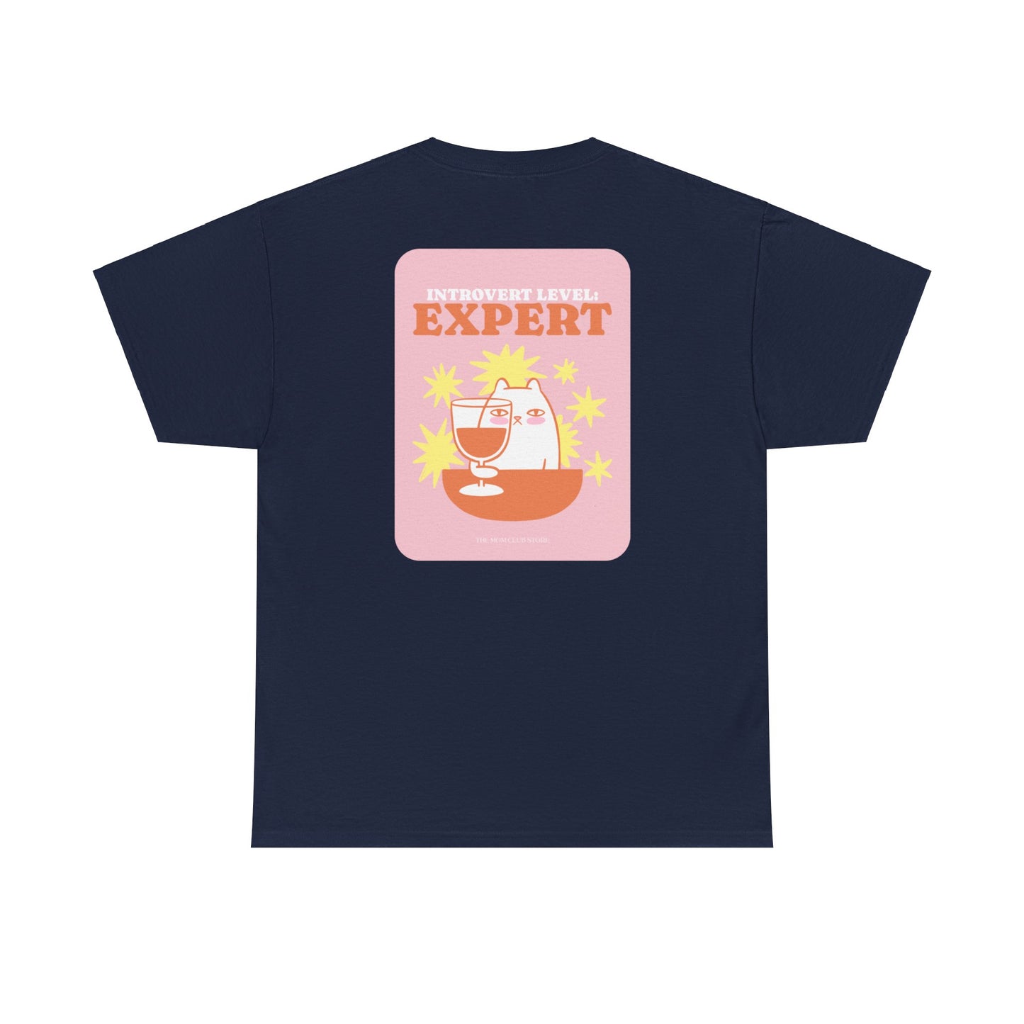 T-shirt à manches courtes à imprimé unisexe INTROVERT LEVEL EXPERT pour adulte