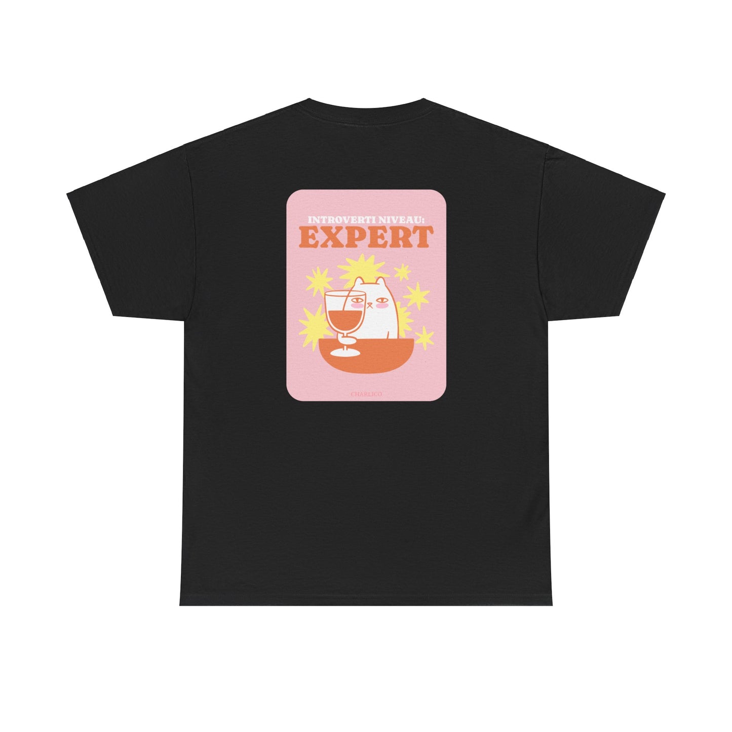 Printed t-shirt -introvert level: EXPERT- for adults