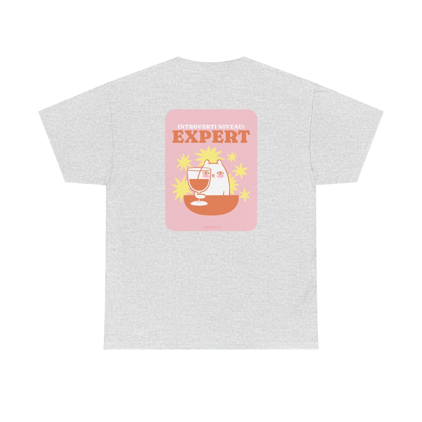 Printed t-shirt -introvert level: EXPERT- for adults